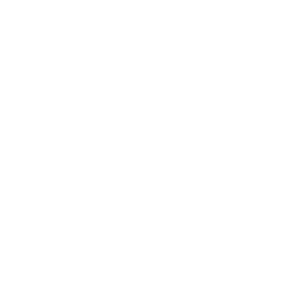Wichita Furniture, Inc. Vision